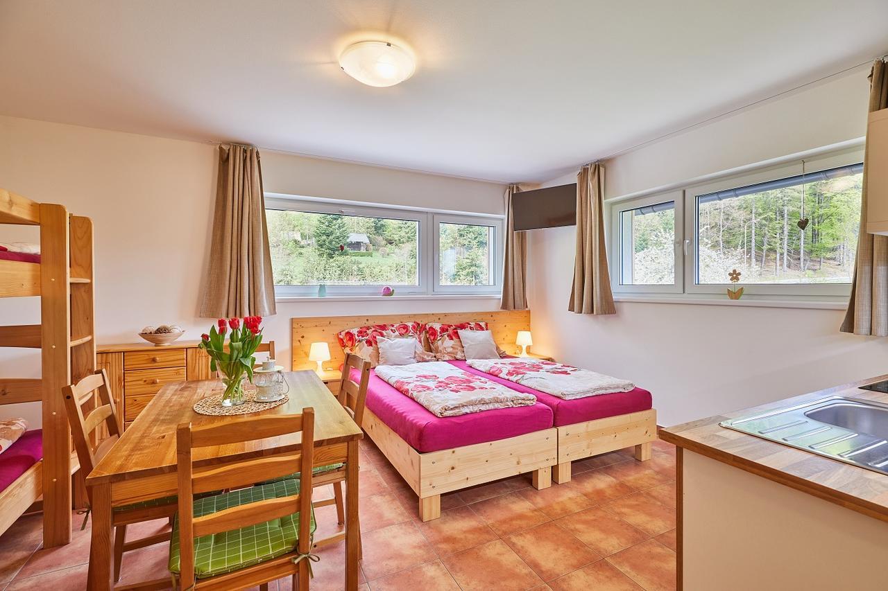 Skipension Janske Lazne Exterior photo