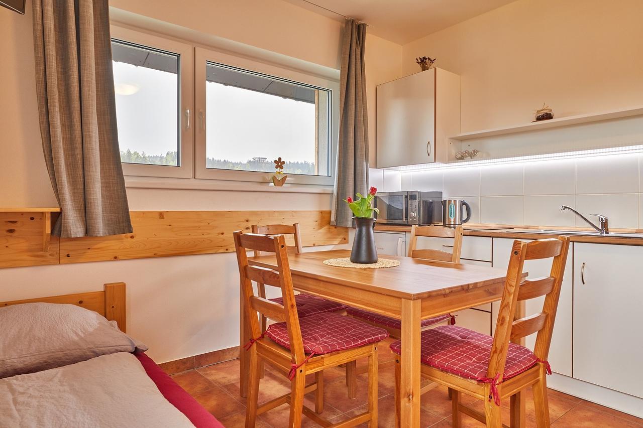 Skipension Janske Lazne Exterior photo